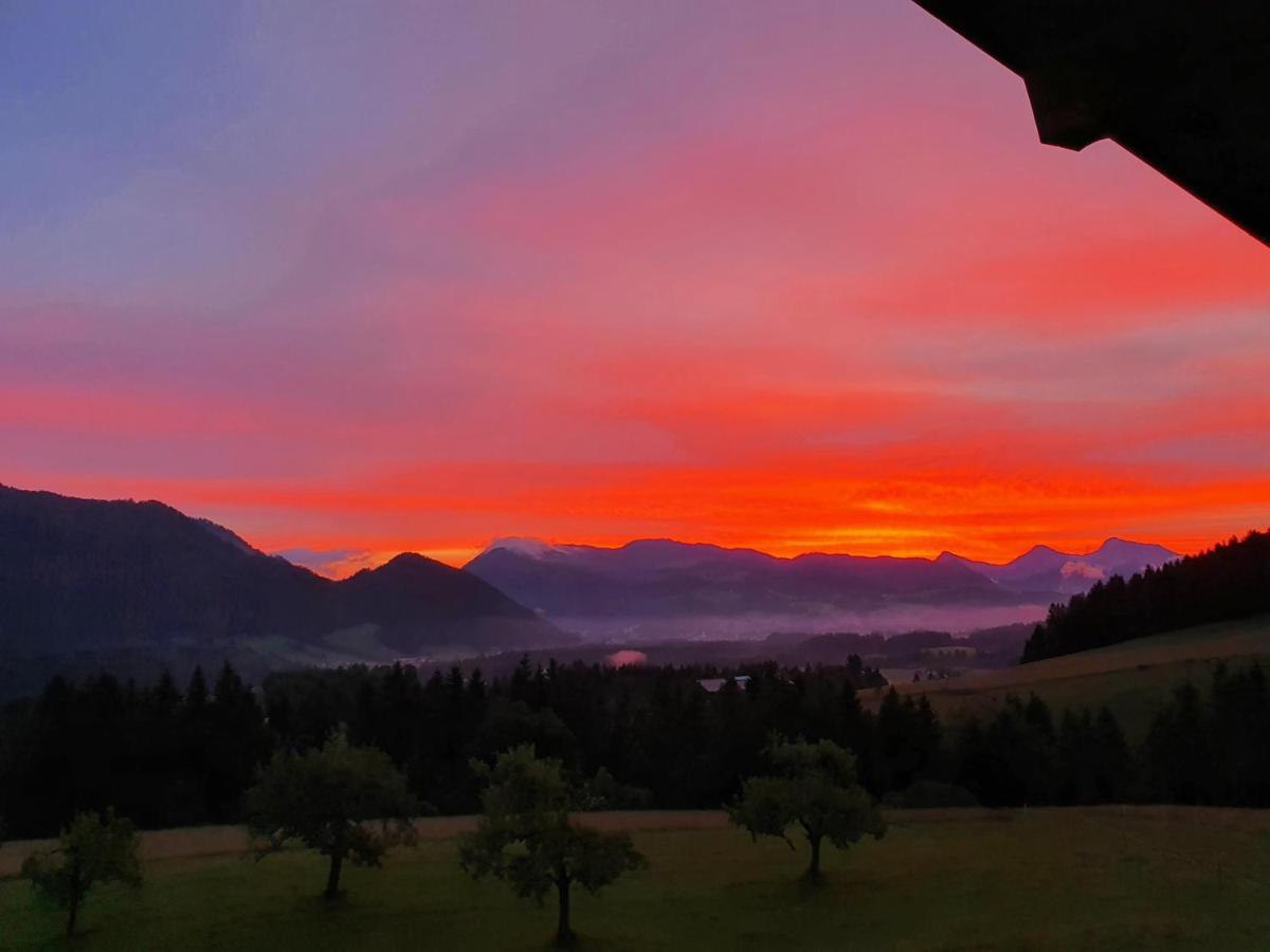 Zasserlhof Familie Bamberger Kossen Bagian luar foto