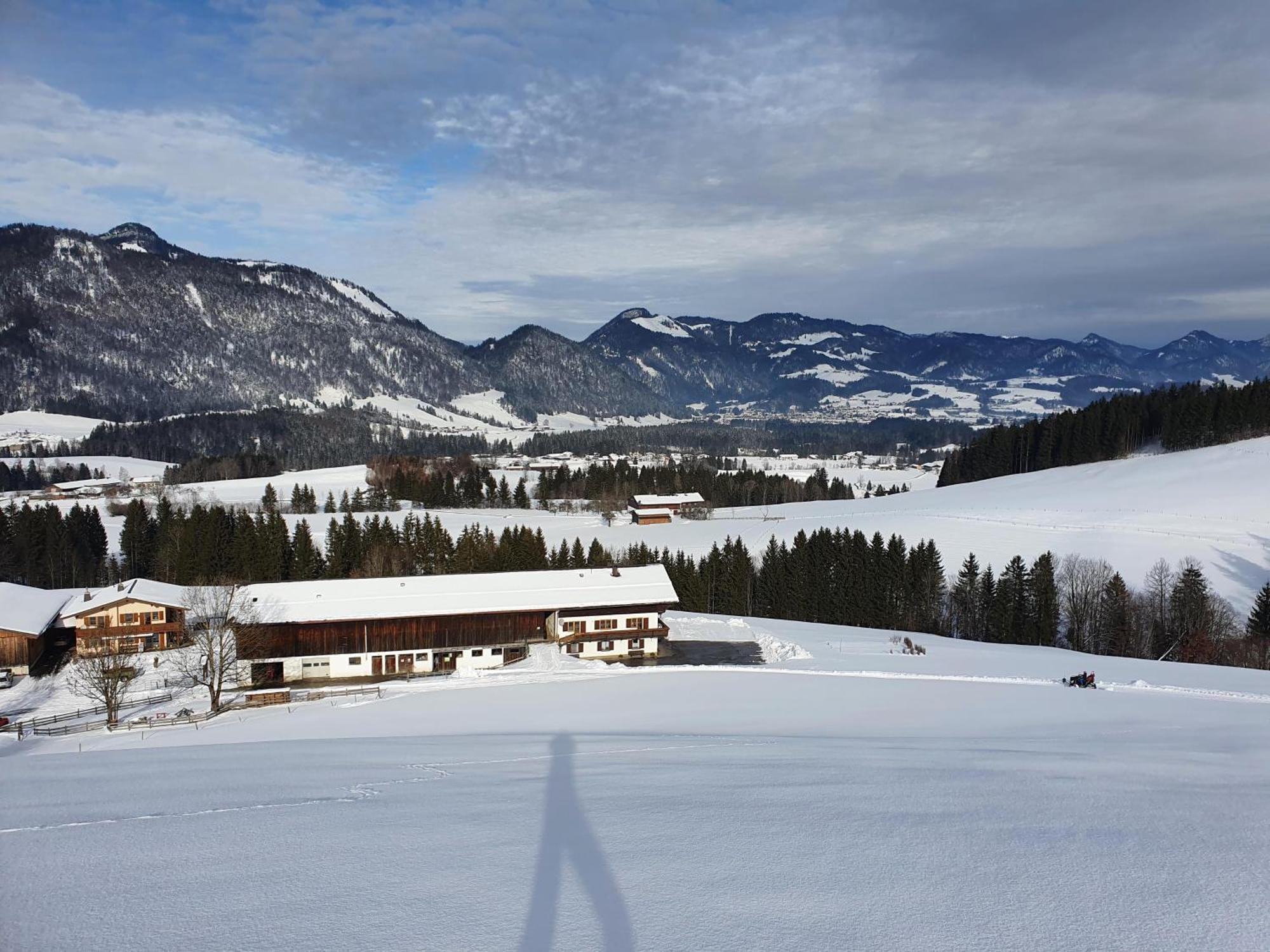 Zasserlhof Familie Bamberger Kossen Bagian luar foto